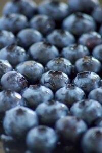 Growing Organic: Blueberry Bonanza Image